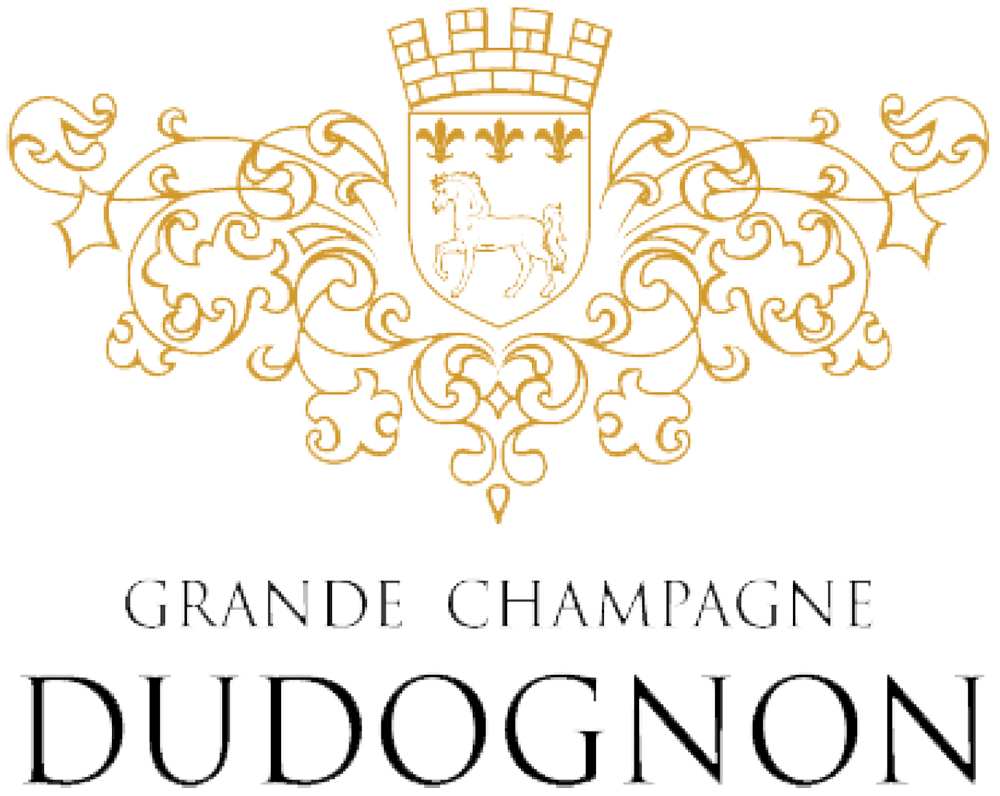 Logo Dudognon