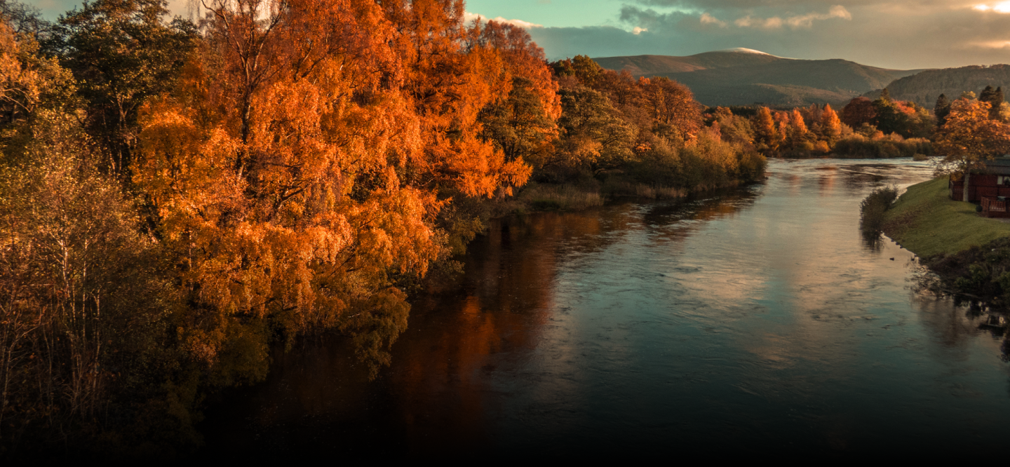 Glenfarclas aus der Region Speyside