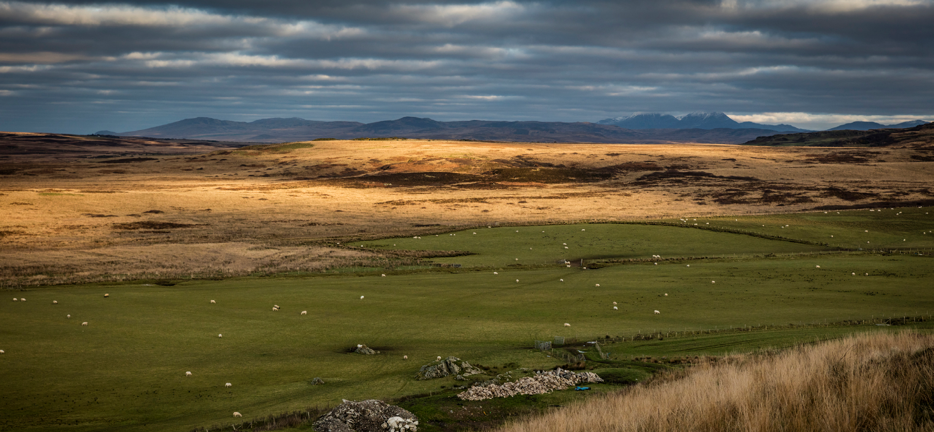 Kilchoman von der Insel Islay